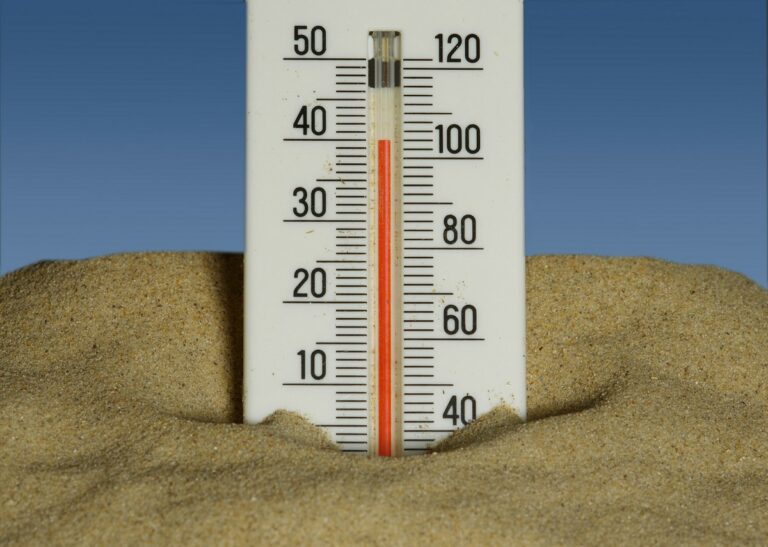 Canicule